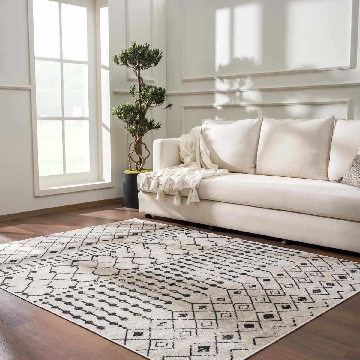Washable Area Rug in Transitional Bohemian Style, Low Pile 100%