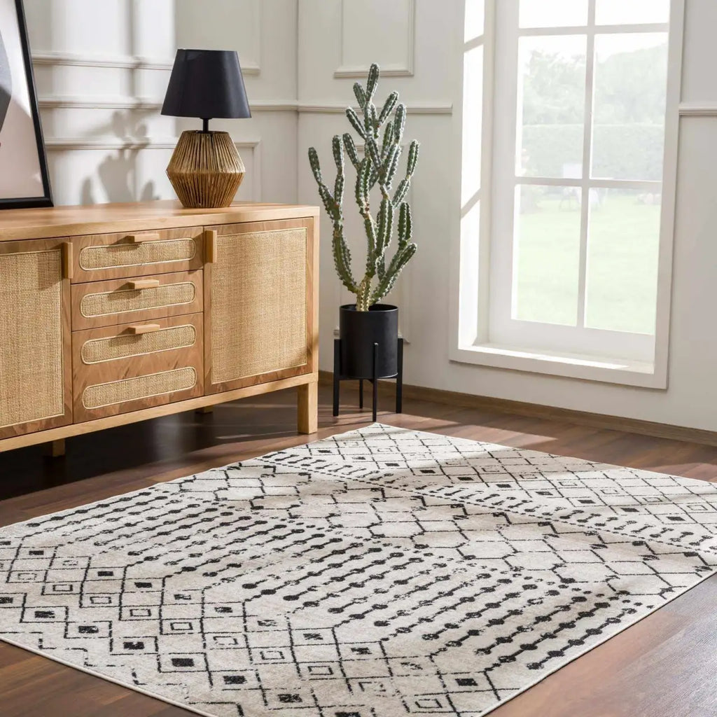 Washable Area Rug in Transitional Bohemian Style, Low Pile 100%