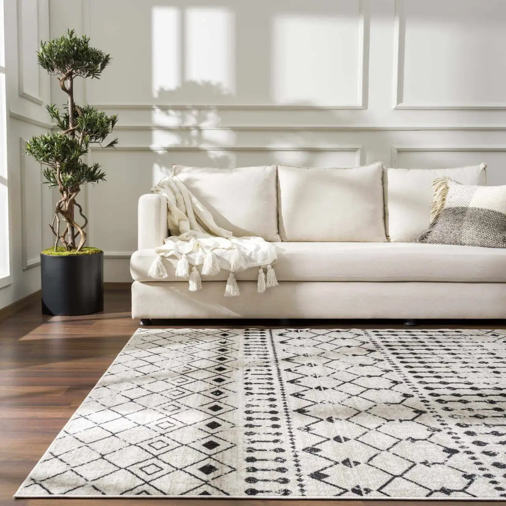 Washable Area Rug in Transitional Bohemian Style, Low Pile 100%