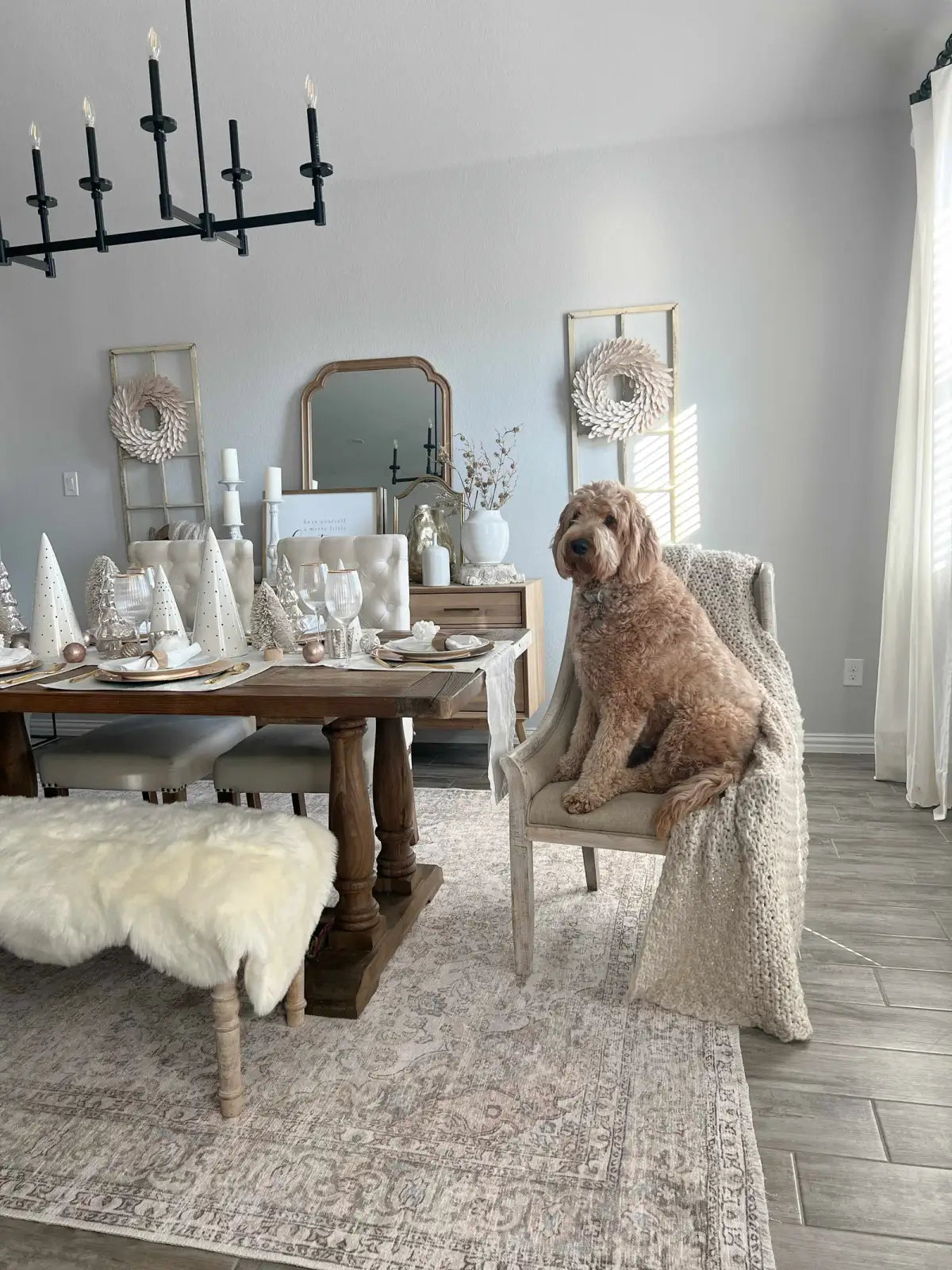 Washable Cream Area Rug with Traditional Pattern, Low Profile and Rectangle, Square or Runner Sizes