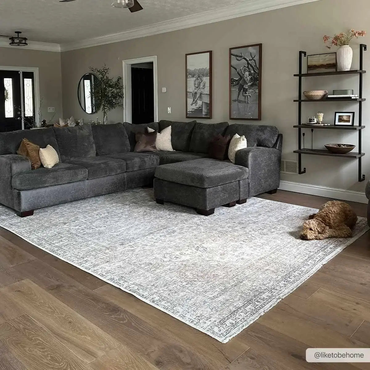 Washable Cream Area Rug with Traditional Pattern, Low Profile and Rectangle, Square or Runner Sizes