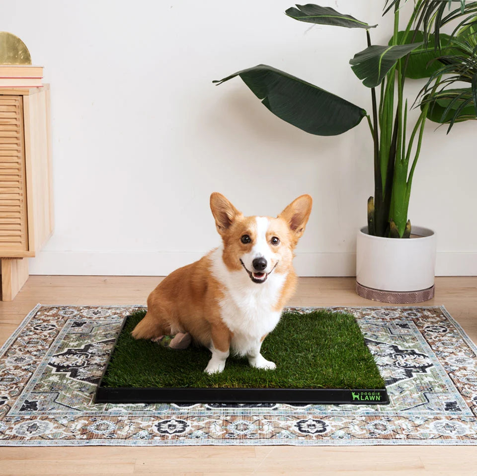 Washable Pet Mat 2-Pack with Leak-Proof Floor Protection in Two Sizes and Three Color Designs
