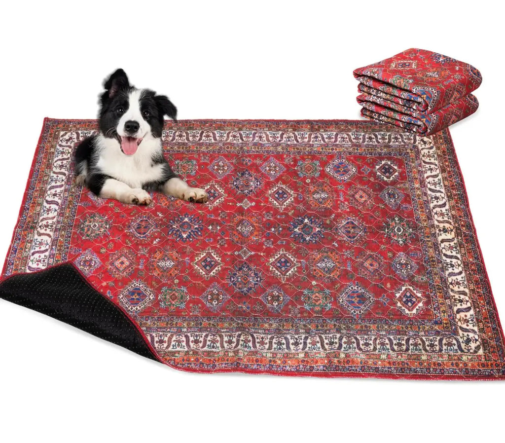 Washable Pet Mat 2-Pack with Leak-Proof Floor Protection in Two Sizes and Three Color Designs