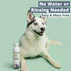 Waterless Dog Shampoo Foam