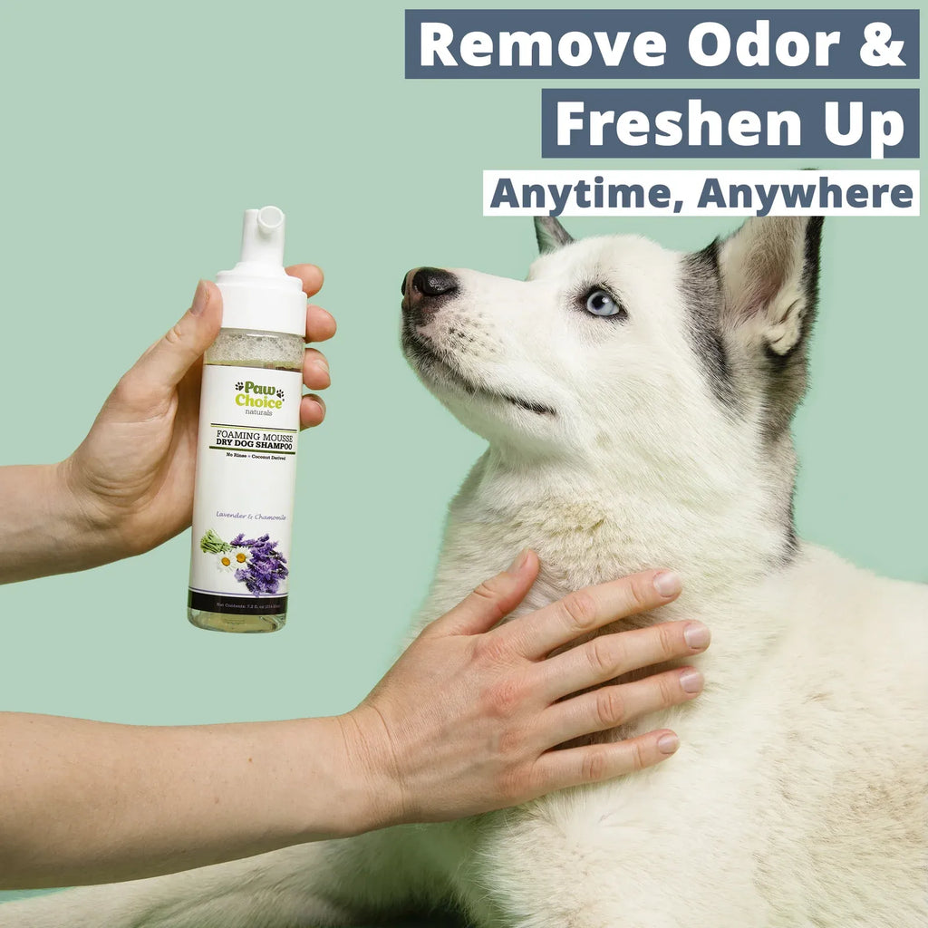 Waterless Dog Shampoo Foam