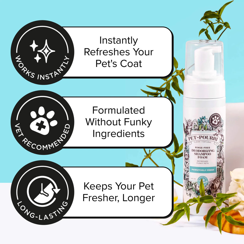 Waterless Dog Shampoo for Quick No-Rinse Coat Refresh with Pineapple, Jasmine and Pear Scent