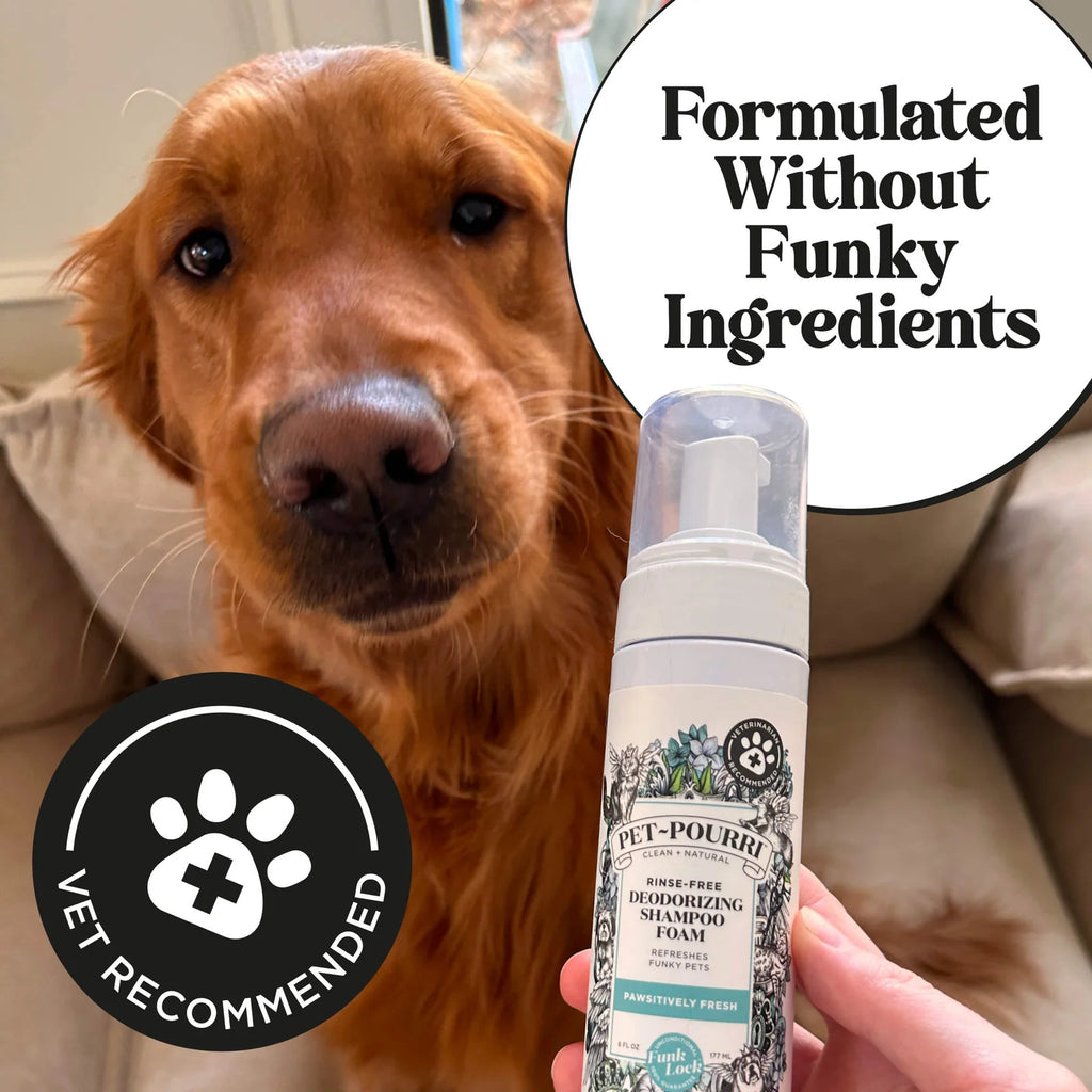 Waterless Dog Shampoo for Quick No-Rinse Coat Refresh with Pineapple, Jasmine and Pear Scent