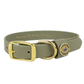 Waterproof Dog Collar in Olive for Outdoor Water Dogs, Swimming, Hunting and Everyday Field Adventures