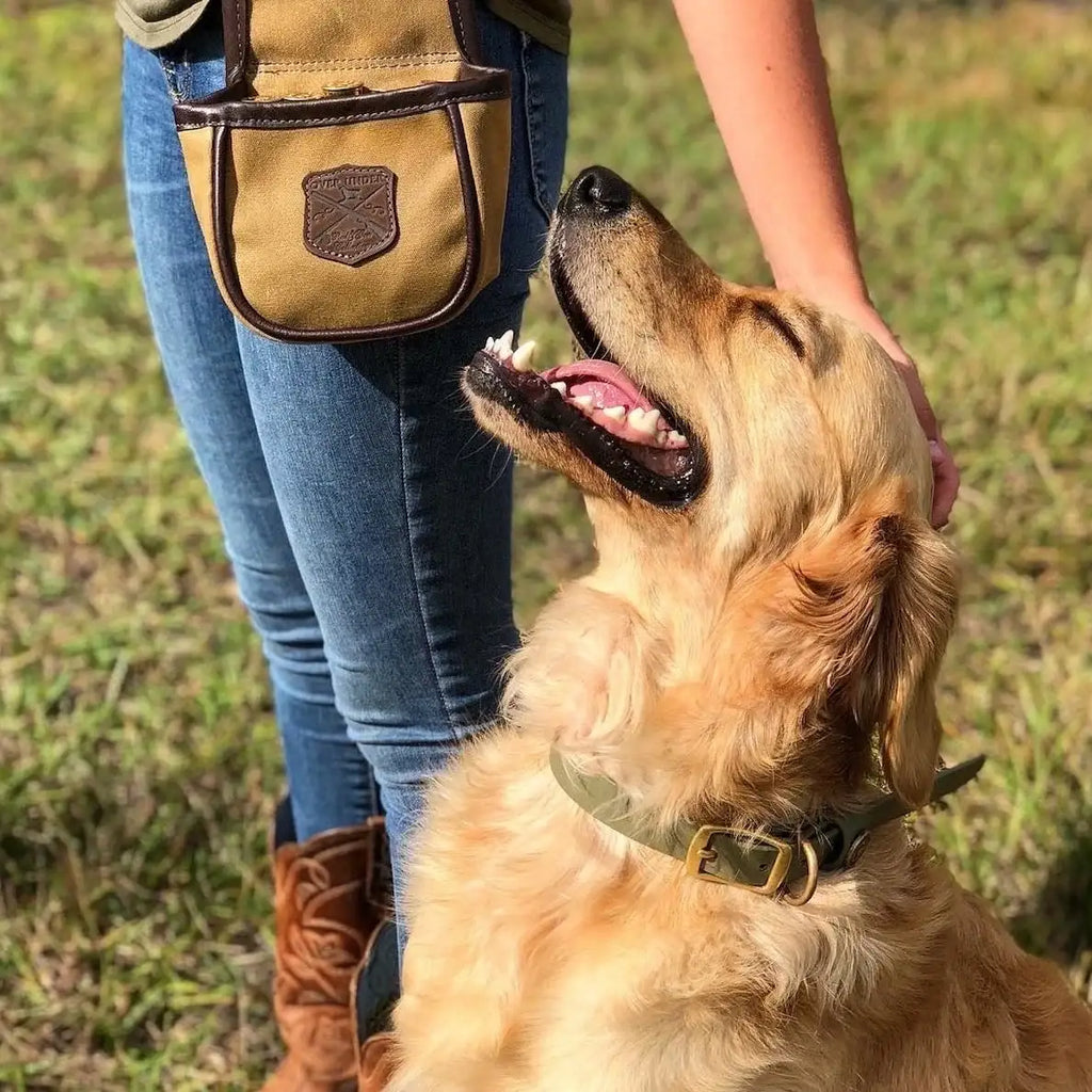 Waterproof Dog Collar in Olive for Outdoor Water Dogs, Swimming, Hunting and Everyday Field Adventures
