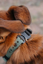 Waterproof Dog E-Collar Strap
