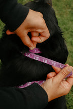 Waterproof Dog E-Collar Strap