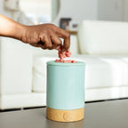 Wax Melt Warmer