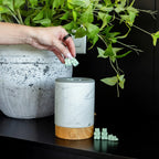 Wax Melt Warmer