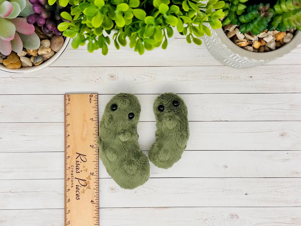 Weighted Pickle Sensory Plush