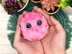 Weighted Sensory Plush