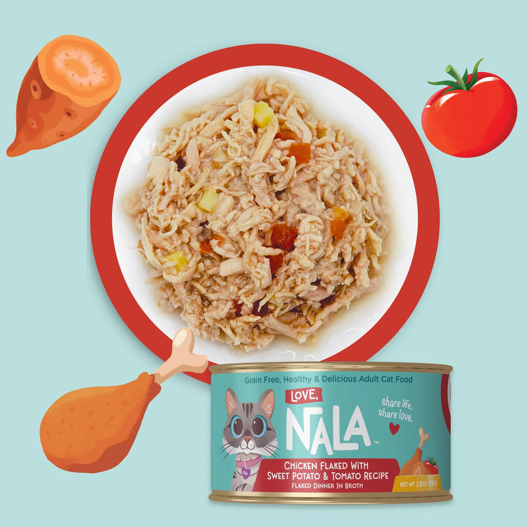 Wet Cat Food in Chicken Broth