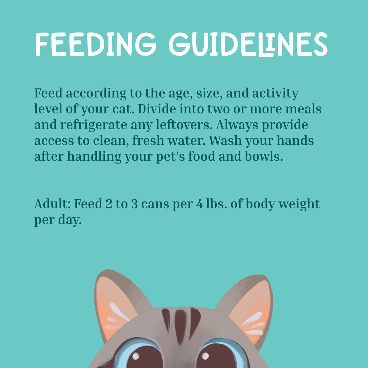 Wet Cat Food in Chicken Broth