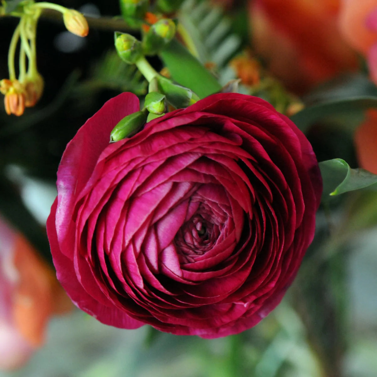Whimsical Flower Arrangement in Cottage Garden Style, $150-Bright