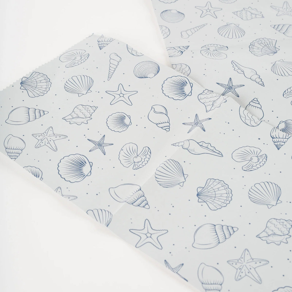 White Beach-Themed Foil Sheets, 5 x 11 Inches, 500-Sheet Box with Soft Shell and Starfish Details