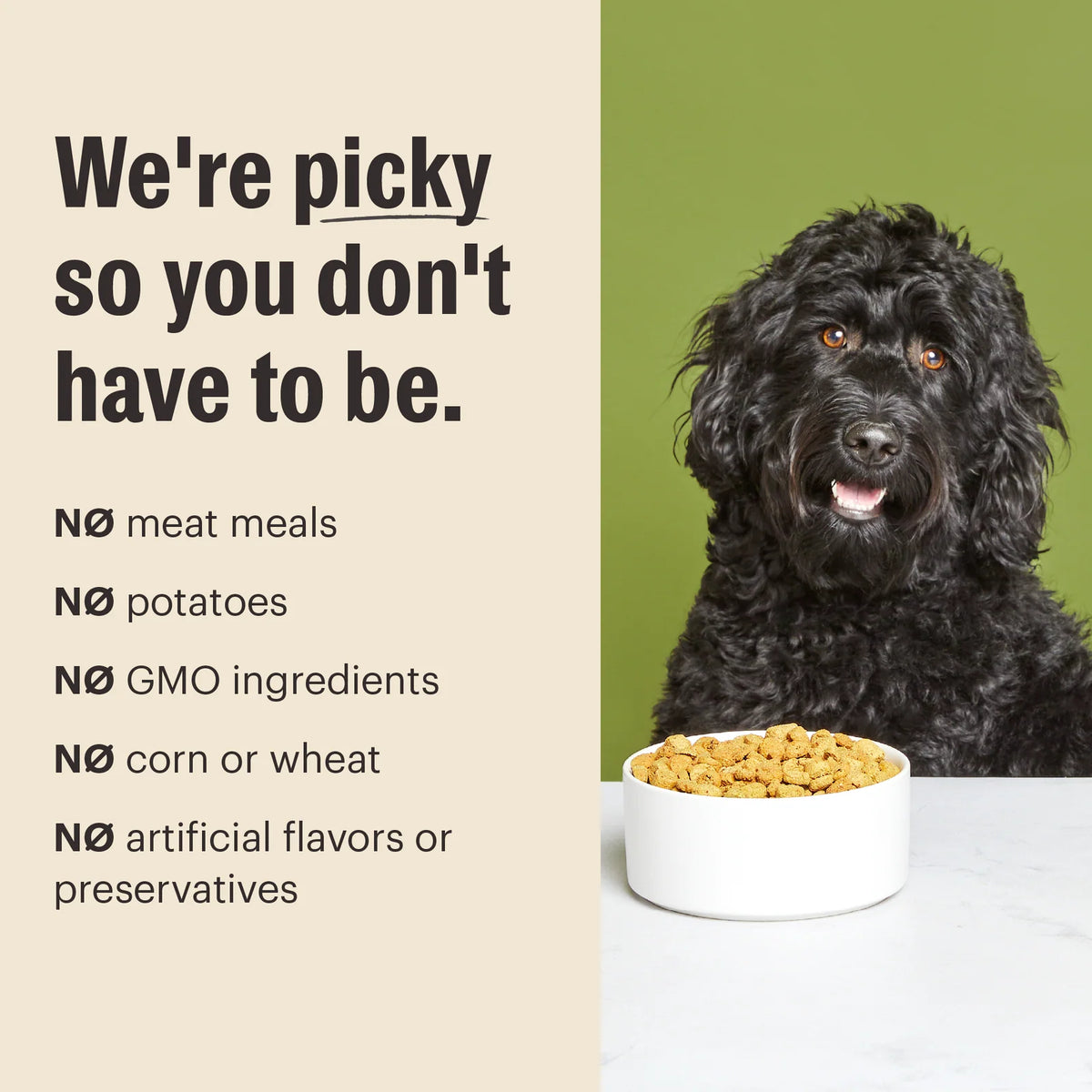 Whole Grain Turkey and Chicken Dry Dog Food Clusters, Minimally Processed for Simple Meal Serving