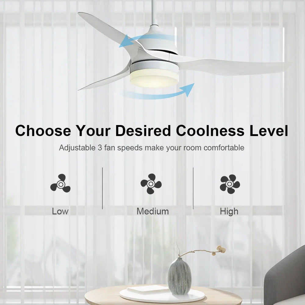 Wi-Fi Ceiling Fan and Light Controller for Existing Systems with App Scheduling and Three Fan Speeds
