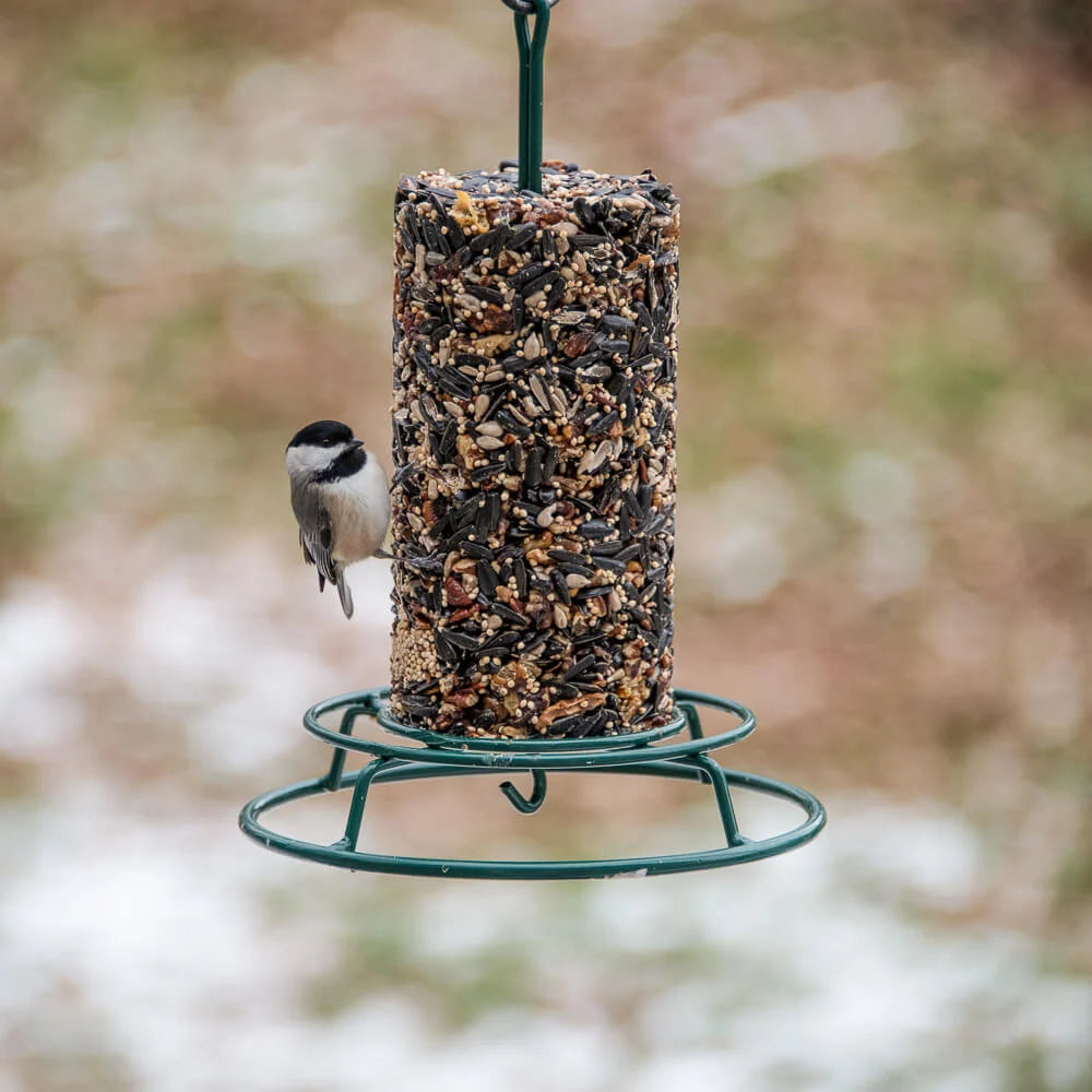 Wild Bird Food Sunflower Seed Cylinder