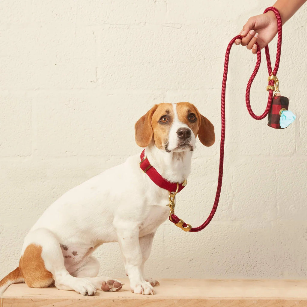 Wine Marine Rope Dog Leash