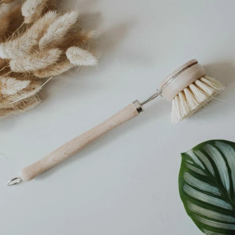 Wooden Dish Brush and Replacement Head