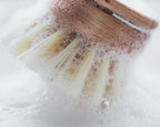 Wooden Dish Brush and Replacement Head