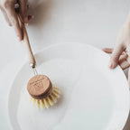 Wooden Dish Brush and Replacement Head