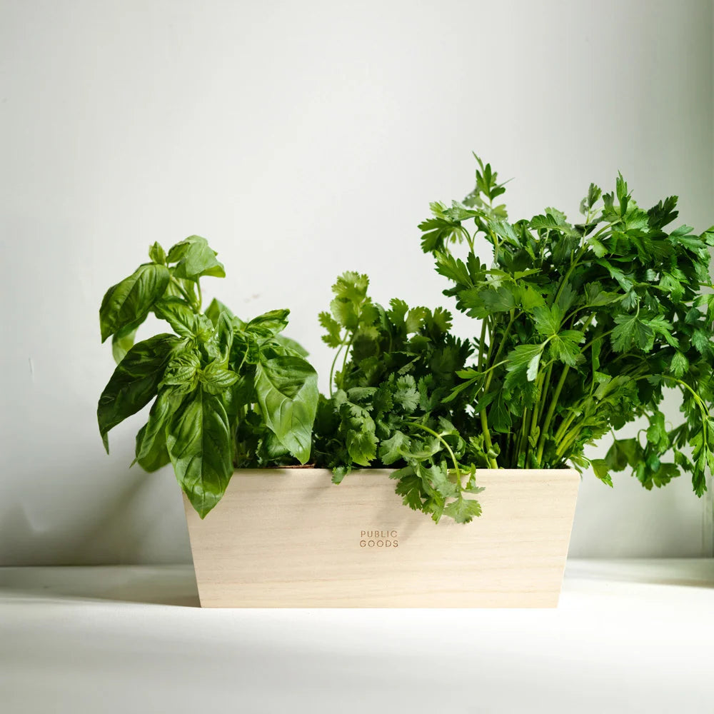 Wooden Herb Planter Kit