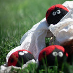 Wool Dryer Balls Laundry Reusable Anti Static Ladybug Trio,
