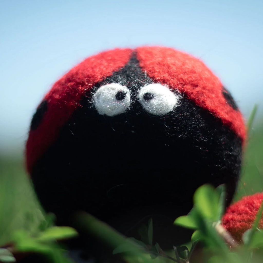 Wool Dryer Balls Laundry Reusable Anti Static Ladybug Trio,