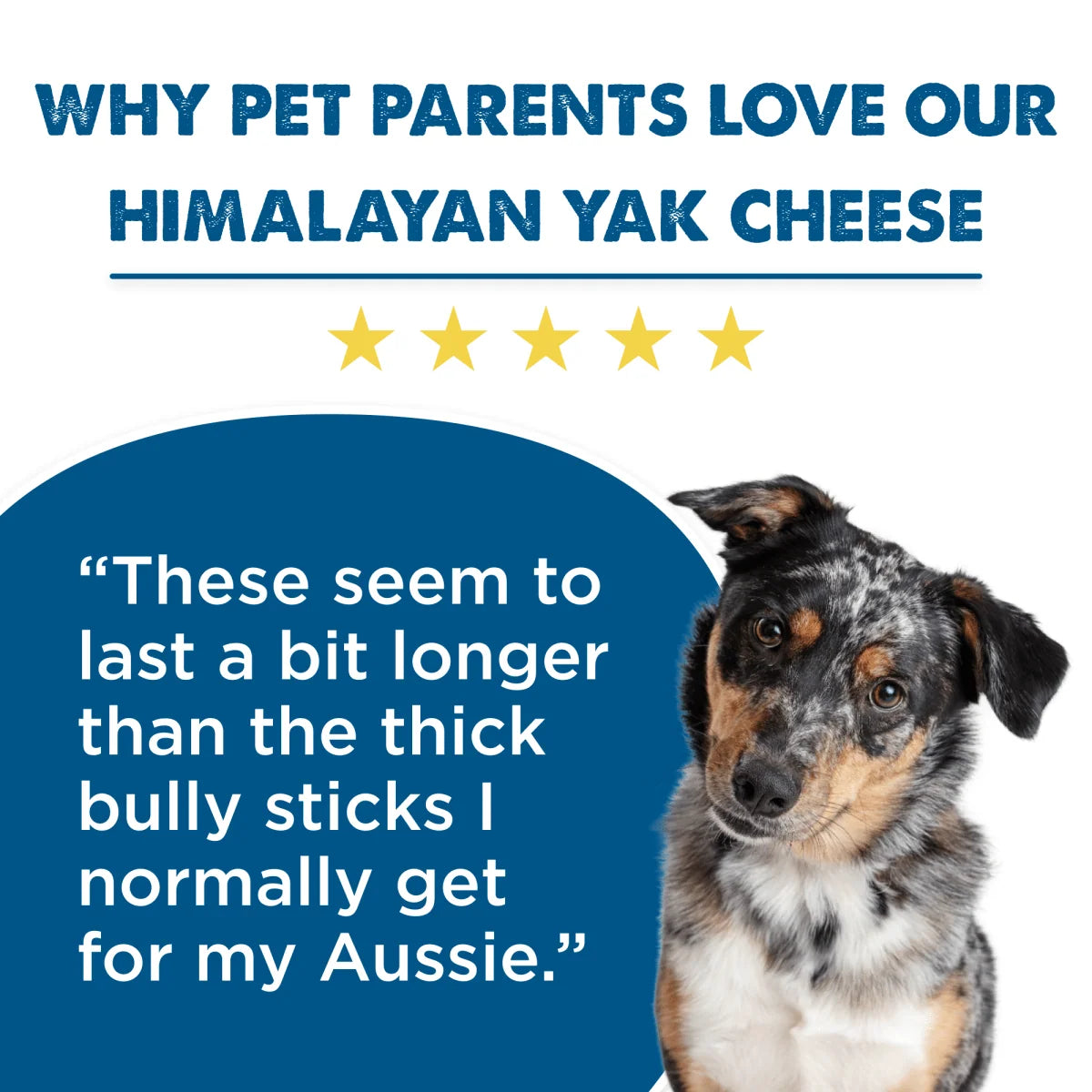 Yak Cheese Dog Chews in an Odor-Free Mixed 3 Pack