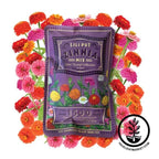 Zinnia Seeds - Lilliput Mixture