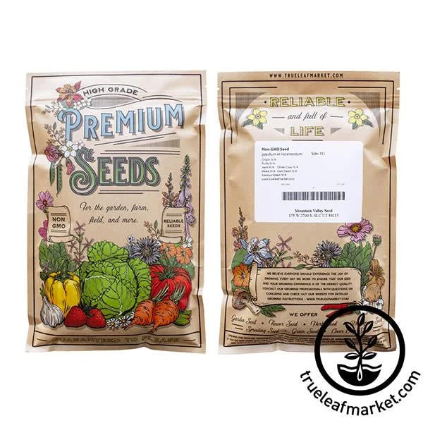 Zinnia Seeds - Lilliput Mixture
